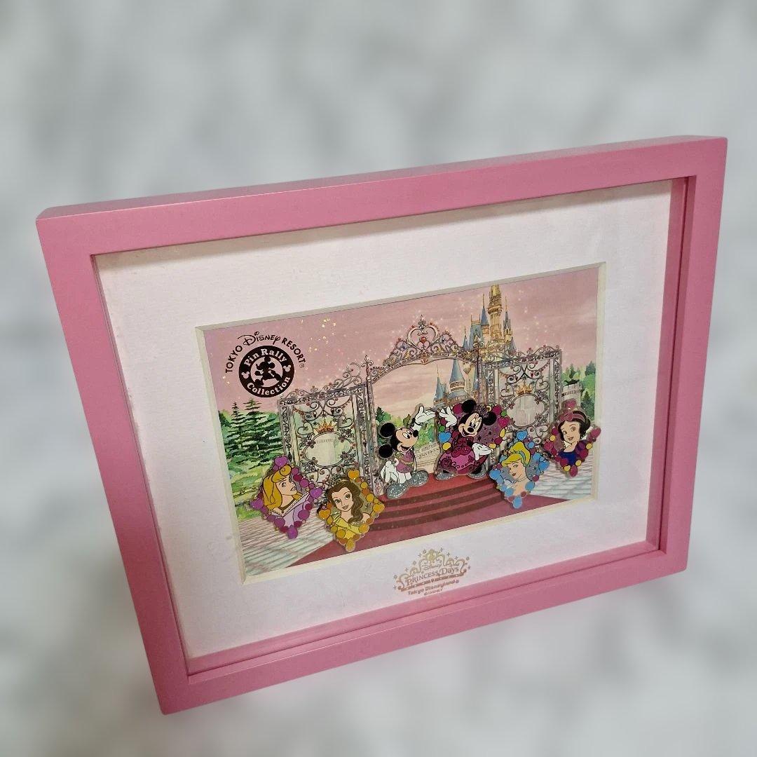 激レア　ディズニープリンセス　ディズニーピンバッジセット