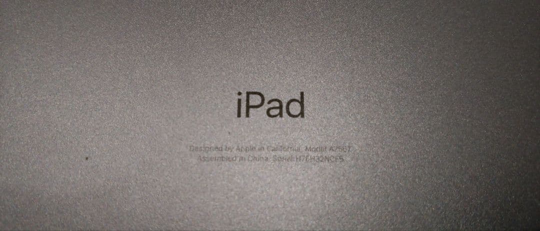 Apple iPad 本体　第6世代　256GB