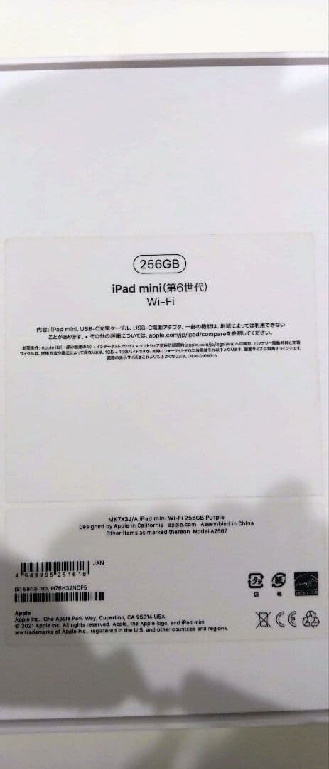 Apple iPad 本体　第6世代　256GB