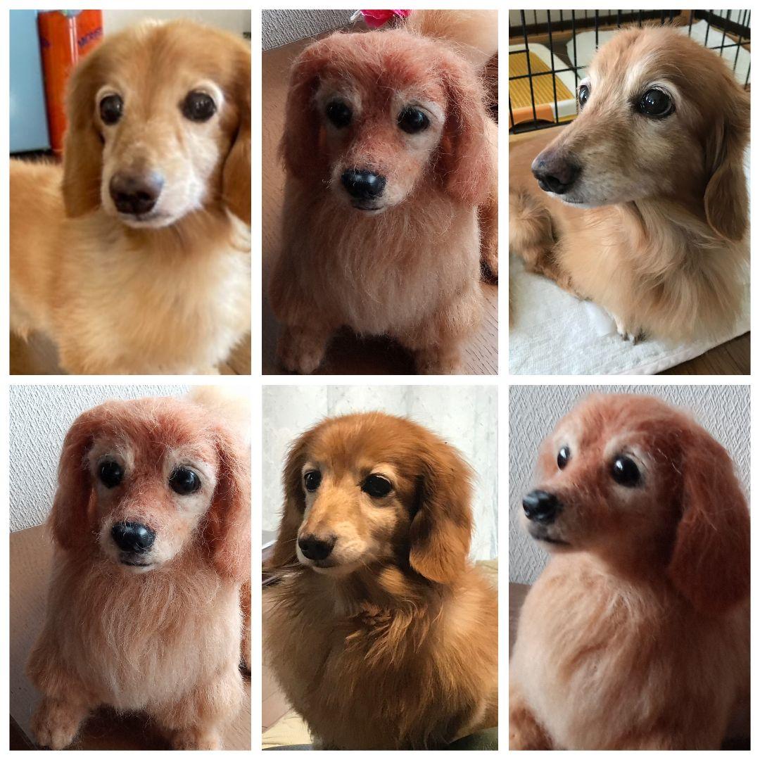 愛犬の羊毛フェルトオーダー制作・わんちゃん