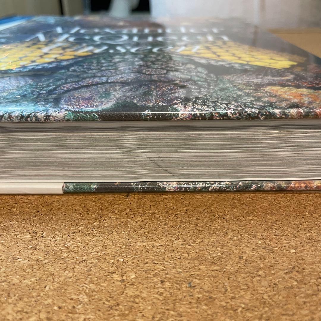 アレキサンダー・マックイーン 未公開写真集