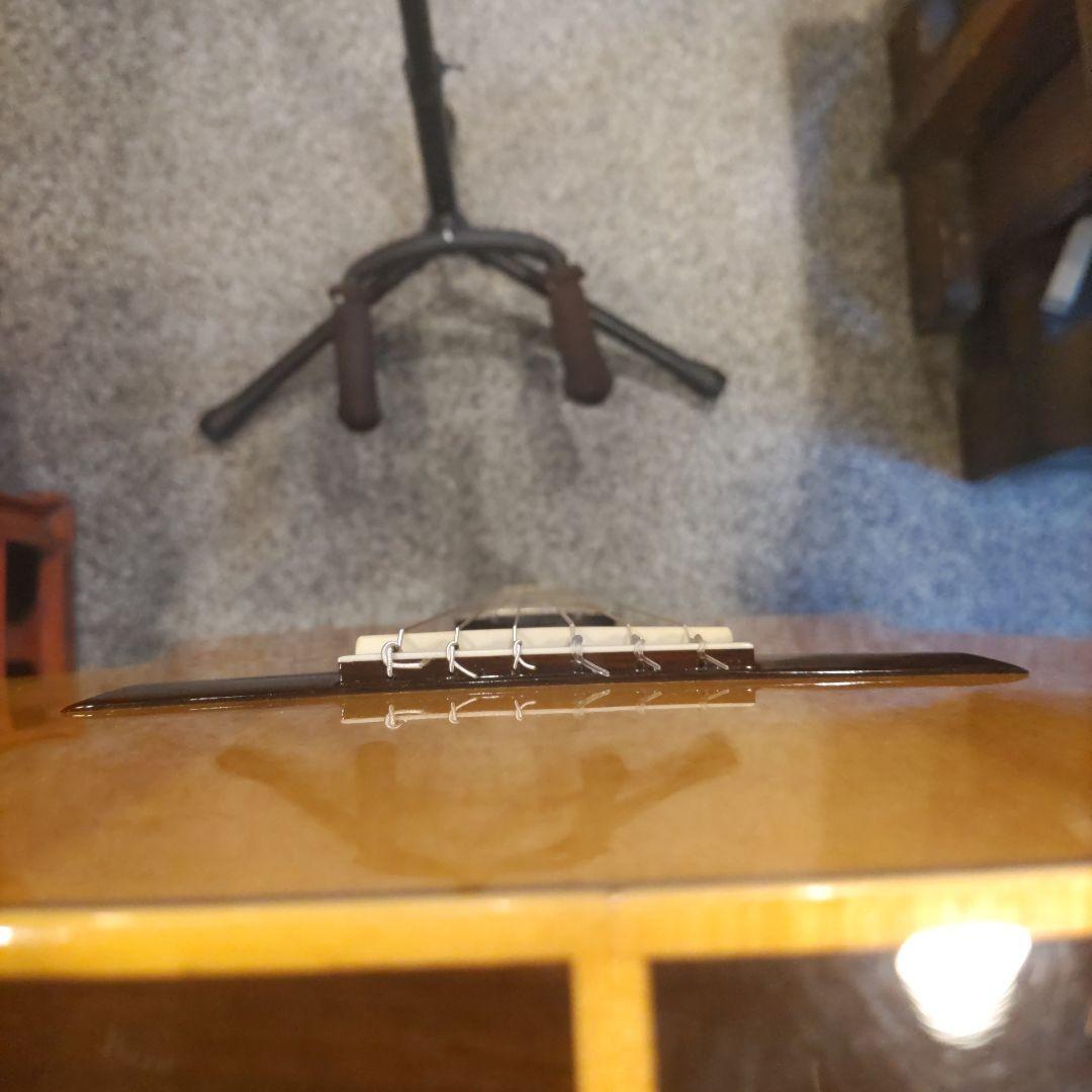 cordoba Gk Studio Negra エレガット (管理テオ)