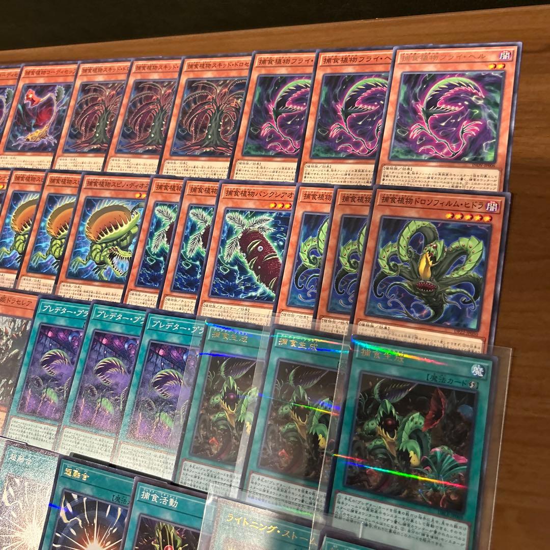 捕食植物デッキパーツ　105枚