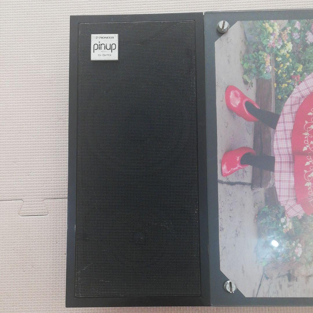 壁掛け　薄型　スピーカー　Pinup S-5PG