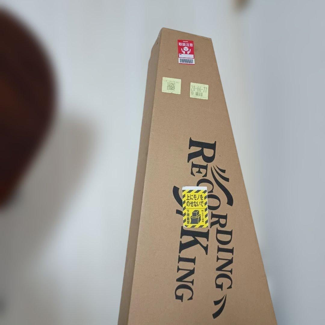Recording King ROS-G6 アコースティックギター
