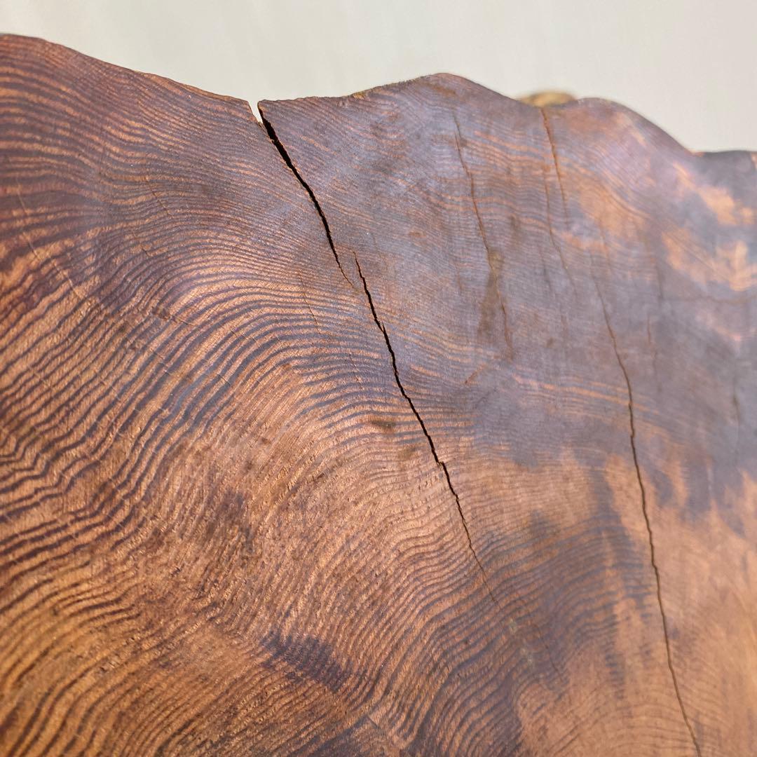屋久杉 オブジェ インテリア 瘤 切株 光明 豪華 良杢 置物 和風 天然