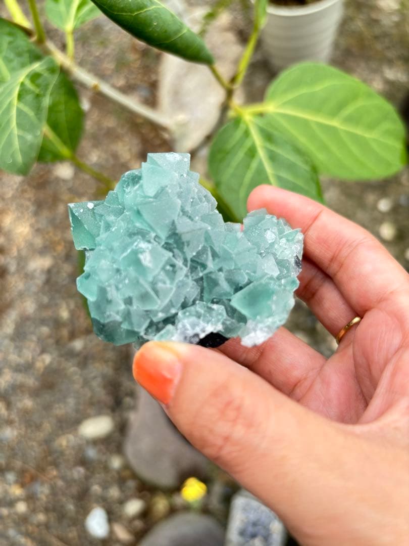 専用八面体フローライト　シュガー　フローライト　綺麗　レア　aaaグレード