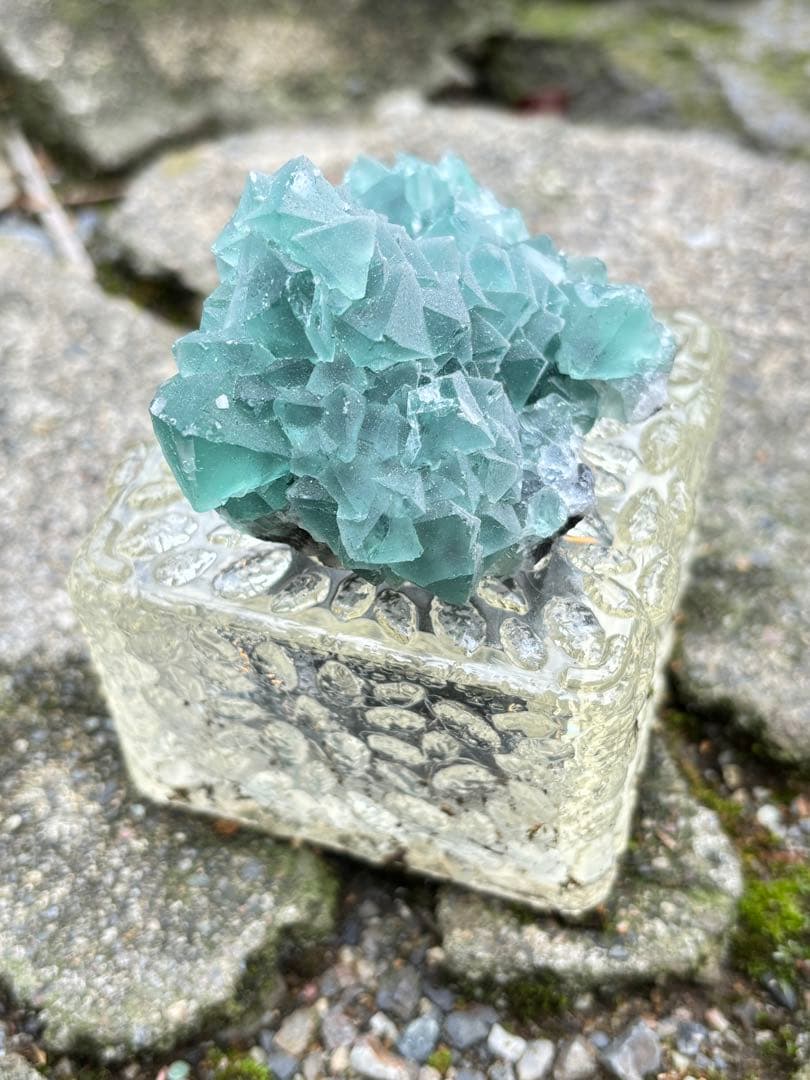 専用八面体フローライト　シュガー　フローライト　綺麗　レア　aaaグレード