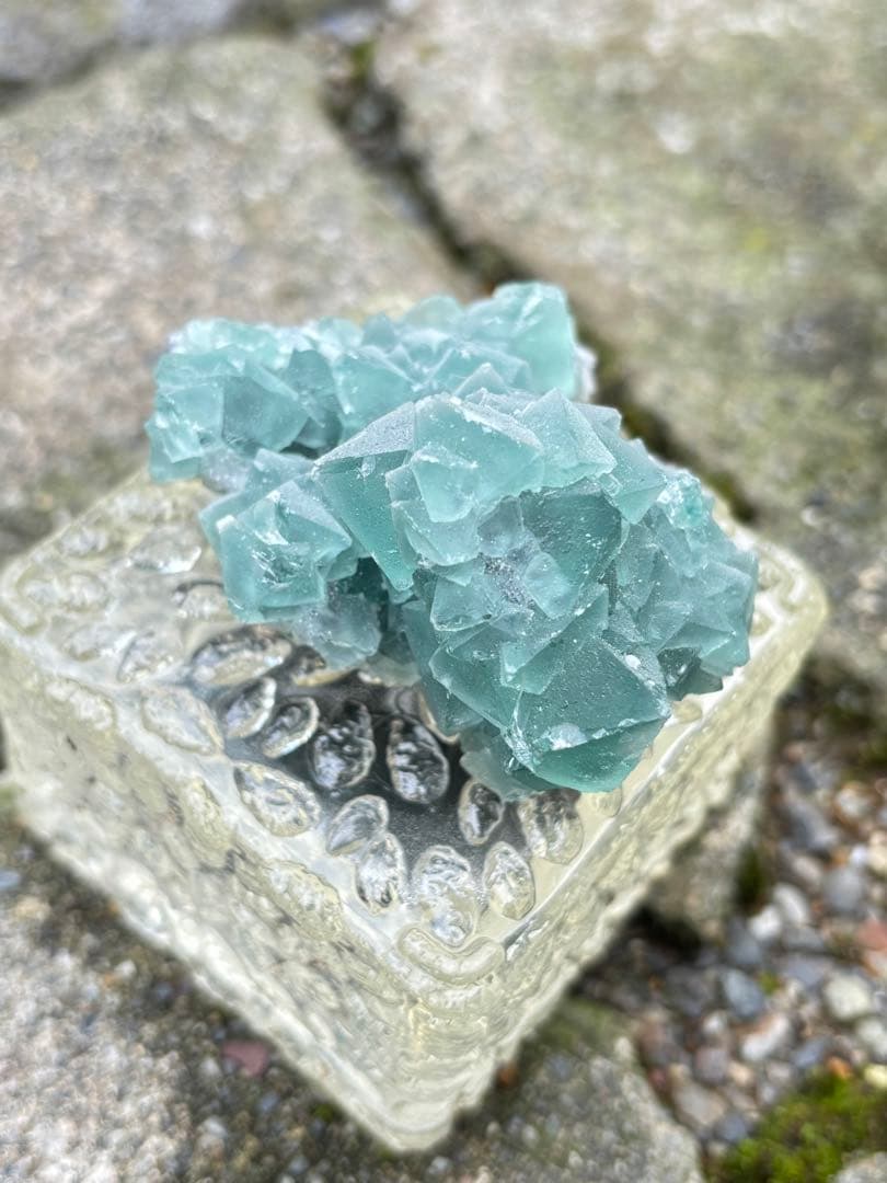 専用八面体フローライト　シュガー　フローライト　綺麗　レア　aaaグレード