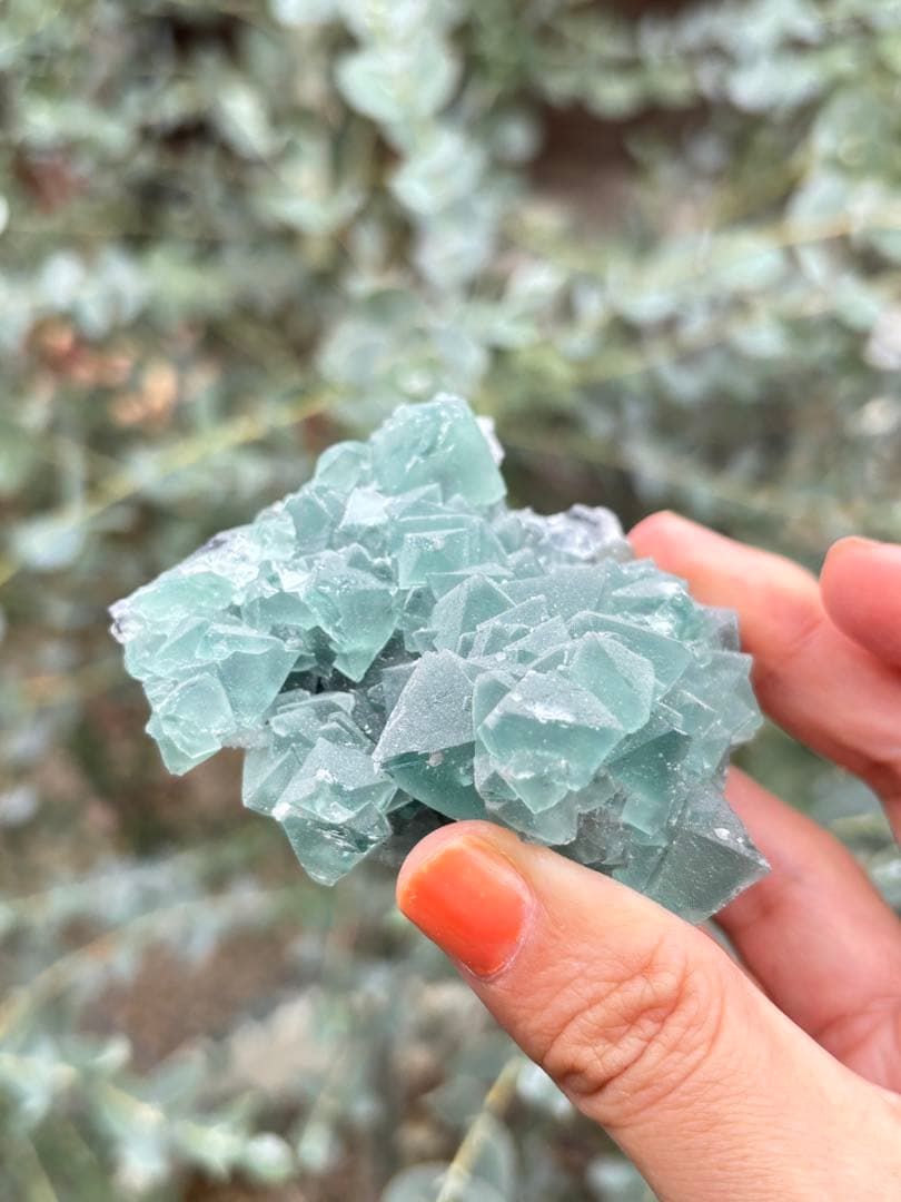 専用八面体フローライト　シュガー　フローライト　綺麗　レア　aaaグレード