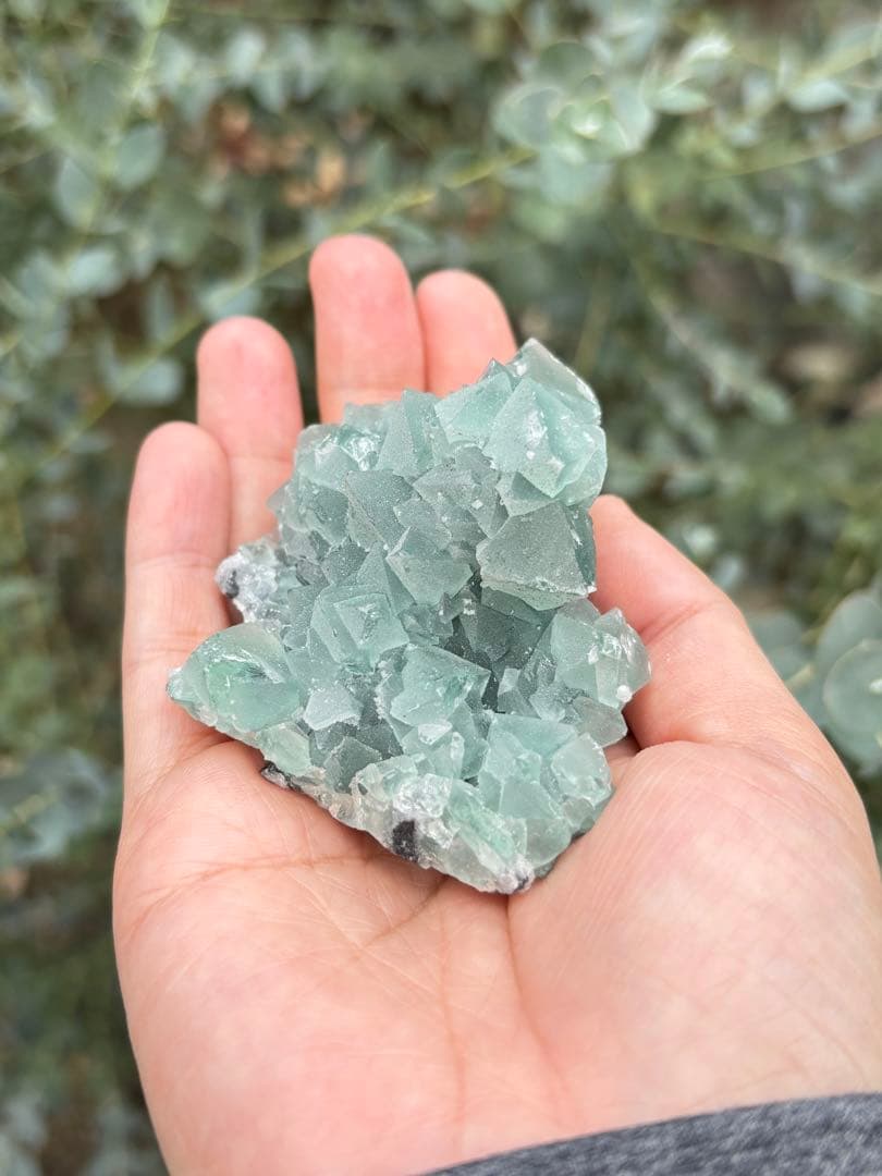 専用八面体フローライト　シュガー　フローライト　綺麗　レア　aaaグレード