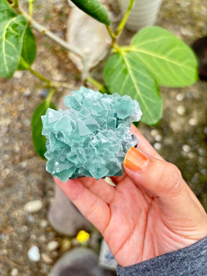 専用八面体フローライト　シュガー　フローライト　綺麗　レア　aaaグレード