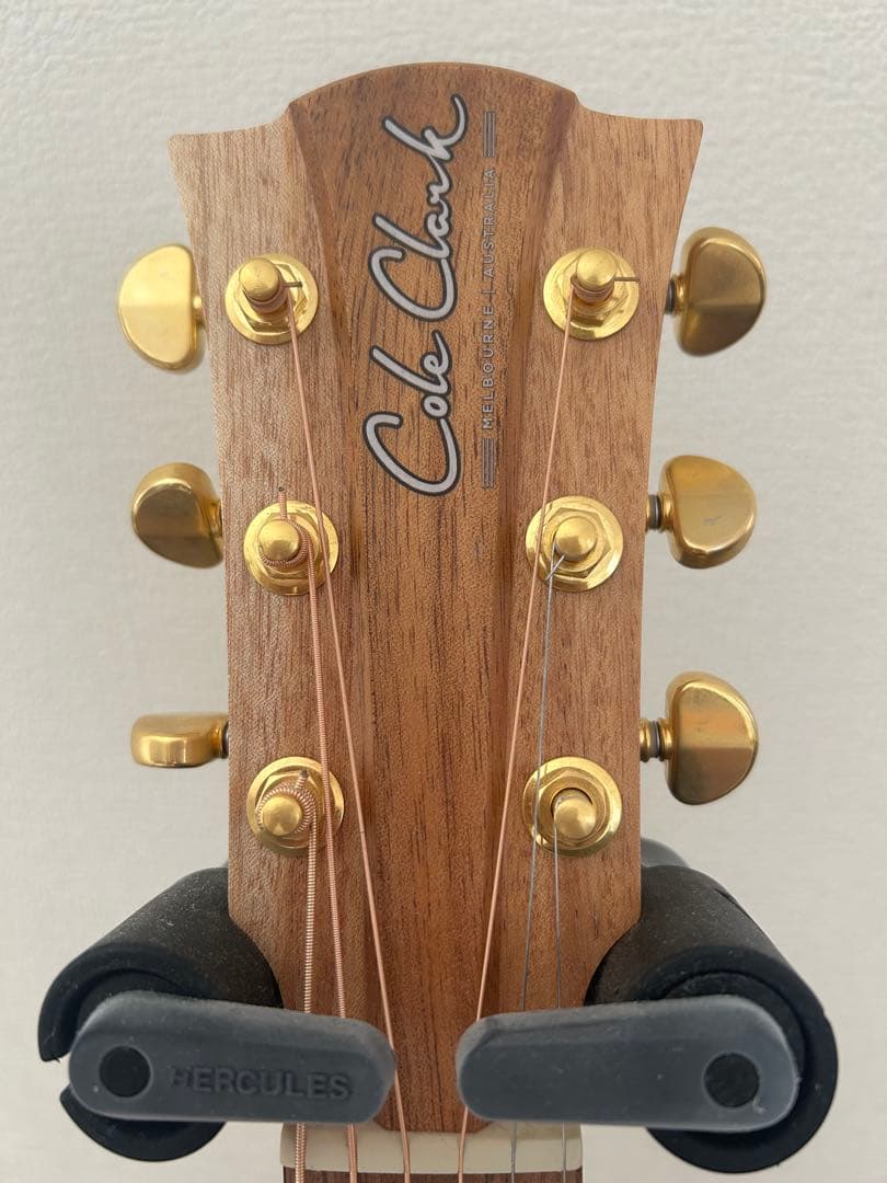 ギター Cole Clark Fat lady2 CCFL2-EC-BB Bunya