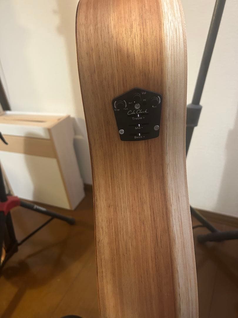 ギター Cole Clark Fat lady2 CCFL2-EC-BB Bunya