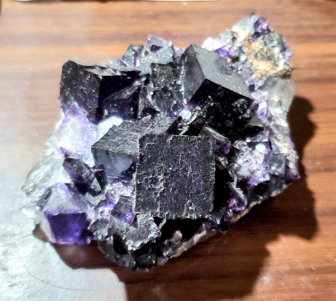 【コレクターズアイテム】エルムウッドフローライト