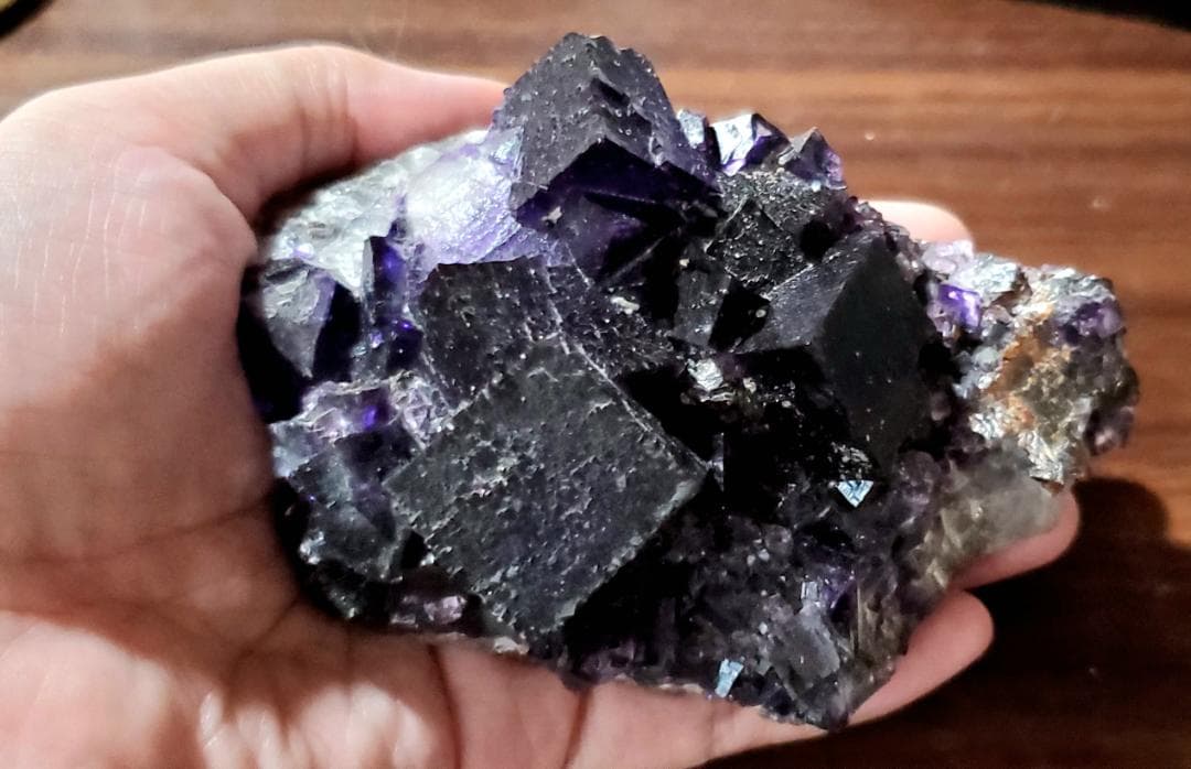 【コレクターズアイテム】エルムウッドフローライト