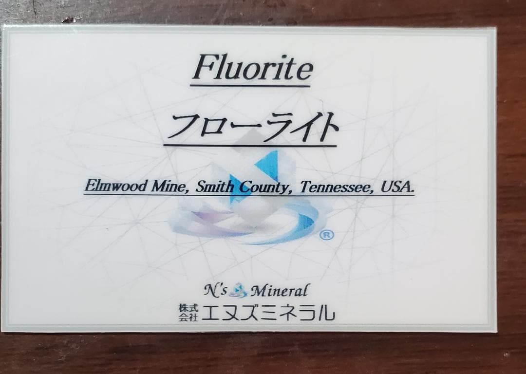 【コレクターズアイテム】エルムウッドフローライト