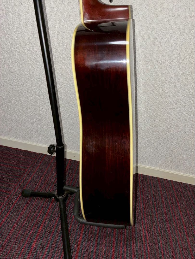 Morris W-50アコースティックギター