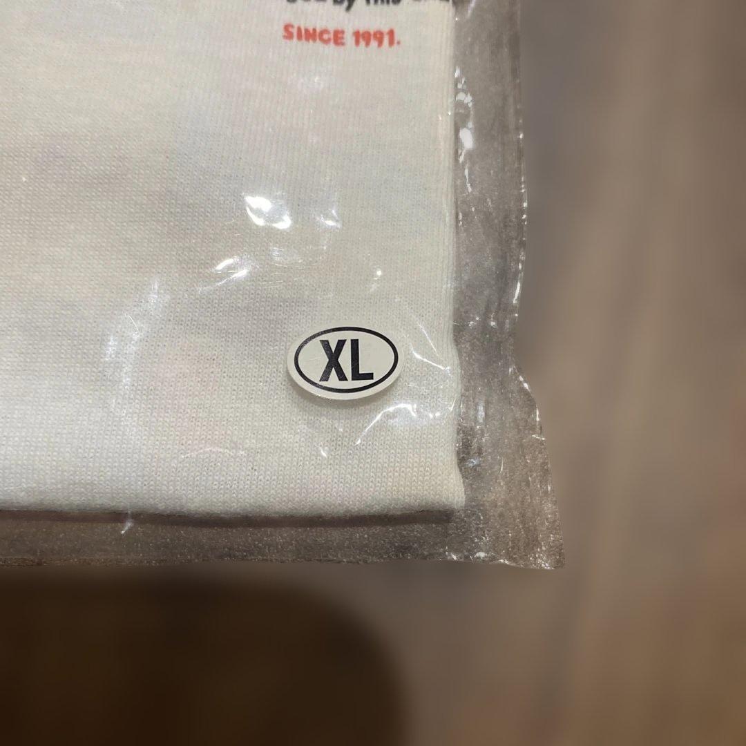 Hi-STANDARD ハイスタ tm-paint TシャツXLピザオブデス