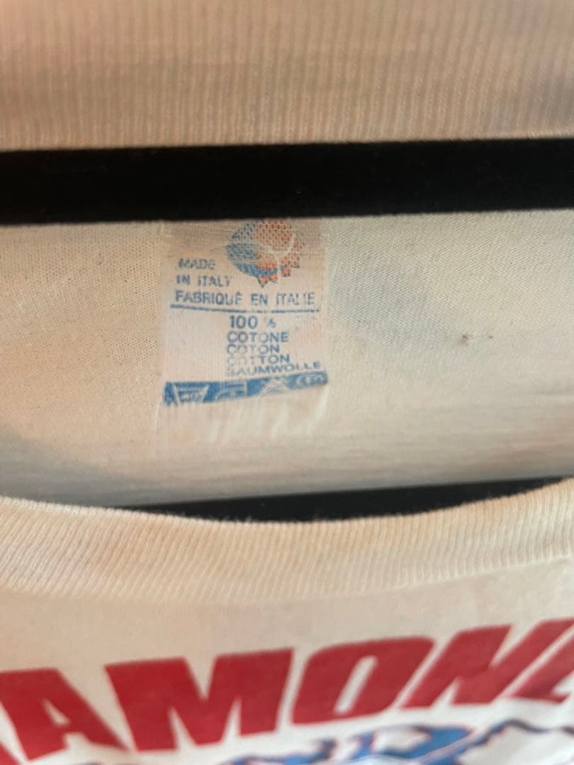 【ヴィンテージ 】RAMONES Tシャツ 1993年製