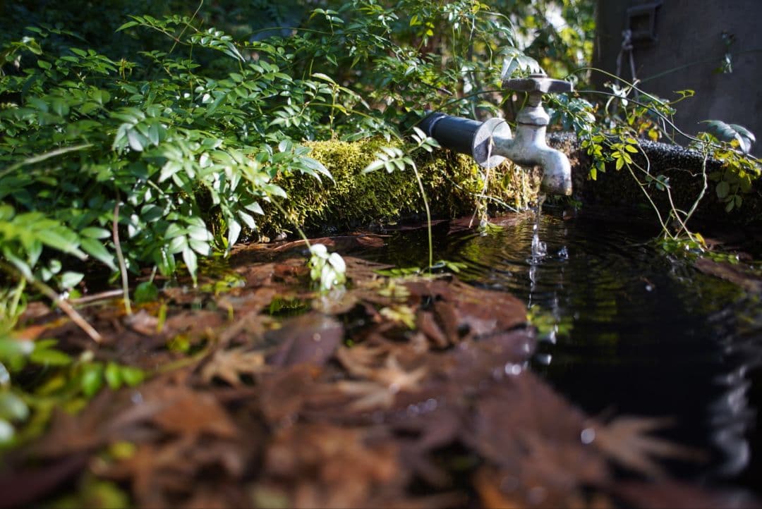 【動作確認済並品】Nikon Ai 24mm f2.8 初期保証付き