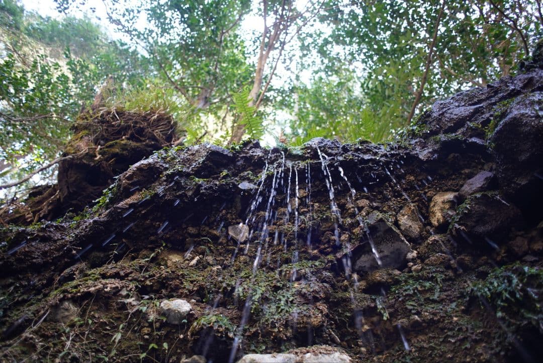 【動作確認済並品】Nikon Ai 24mm f2.8 初期保証付き