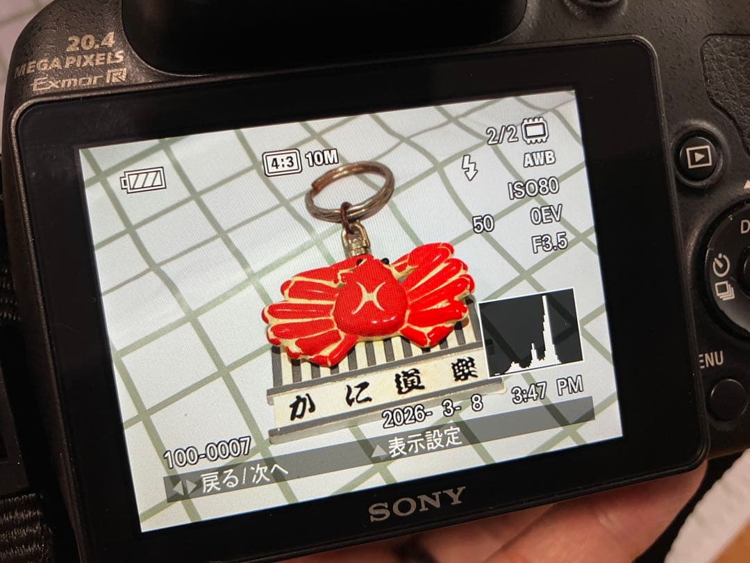 デジタルカメラ SONY Cyber-Shot DSC-HX300