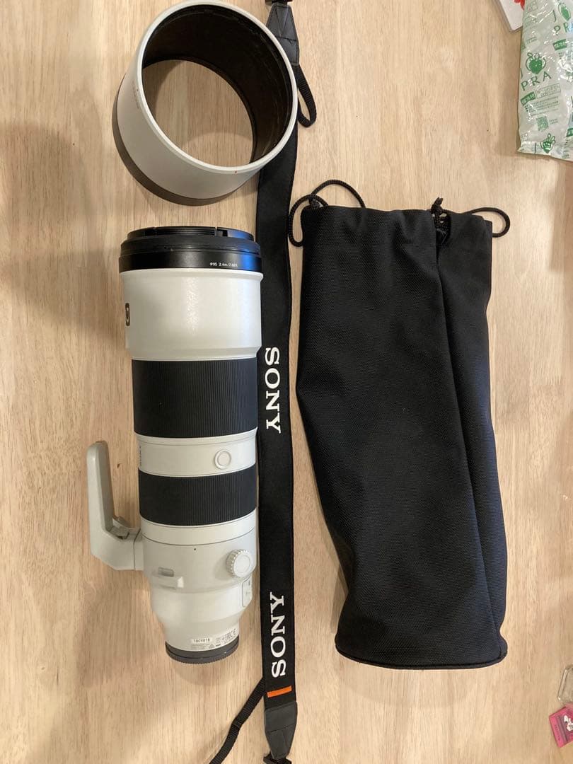 sagit a*　FE 200-600mm 及びテレコン2倍