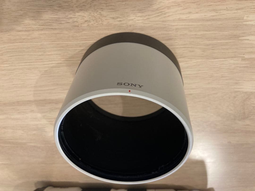 sagit a*　FE 200-600mm 及びテレコン2倍