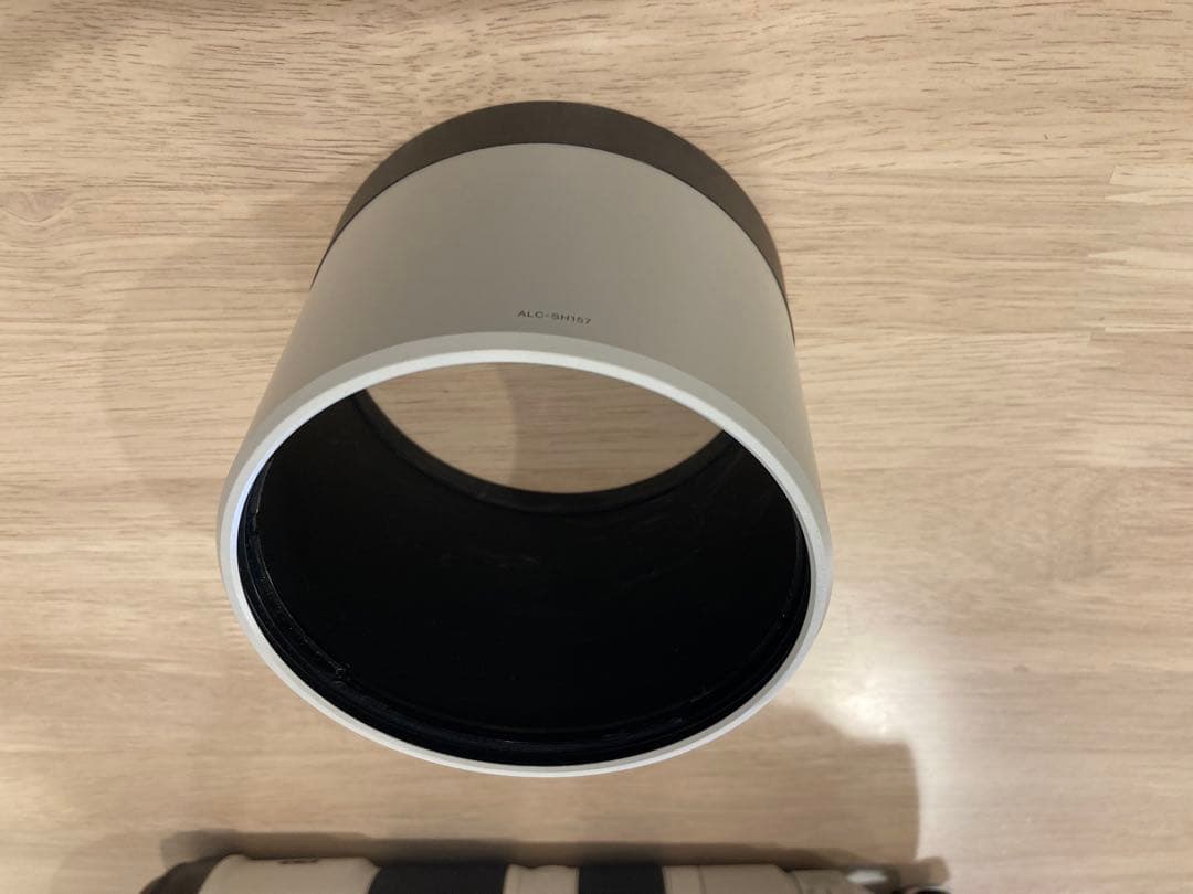 sagit a*　FE 200-600mm 及びテレコン2倍