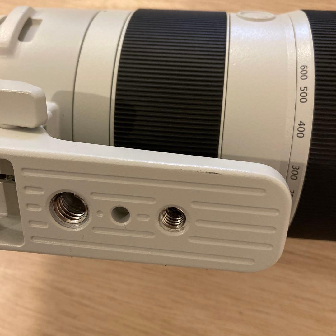 sagit a*　FE 200-600mm 及びテレコン2倍