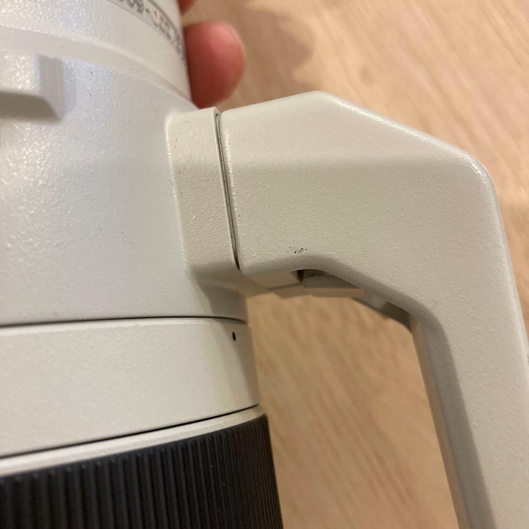 sagit a*　FE 200-600mm 及びテレコン2倍