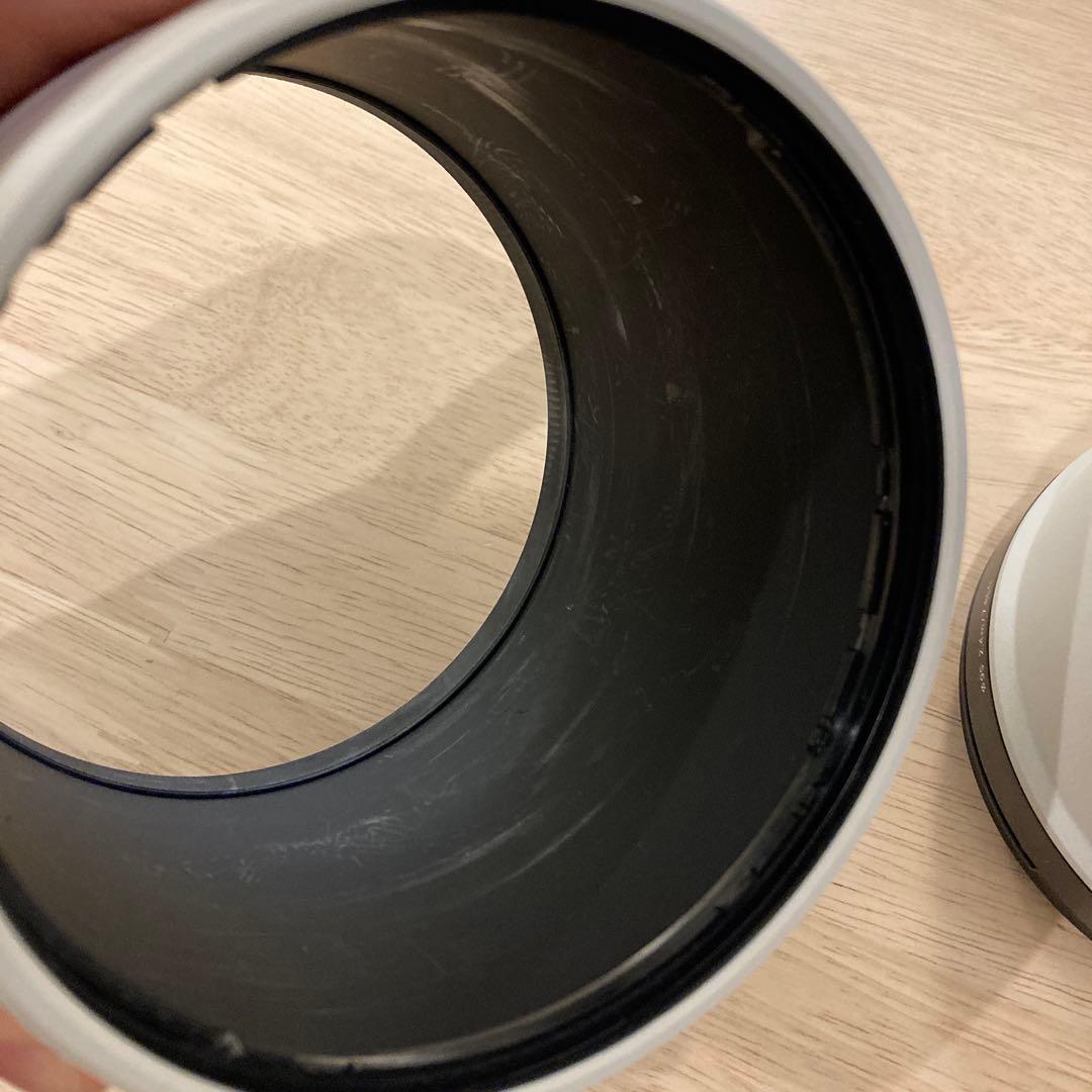 sagit a*　FE 200-600mm 及びテレコン2倍