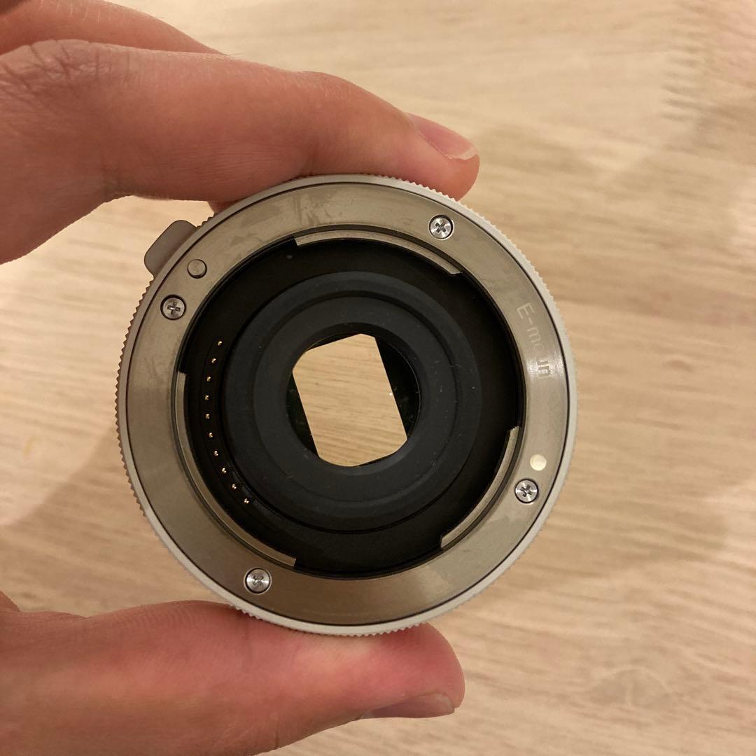 sagit a*　FE 200-600mm 及びテレコン2倍