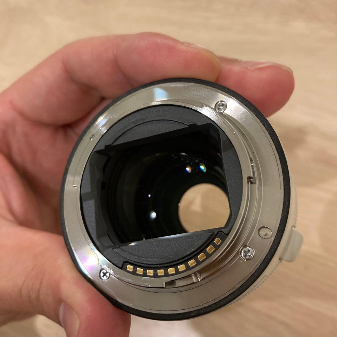 sagit a*　FE 200-600mm 及びテレコン2倍