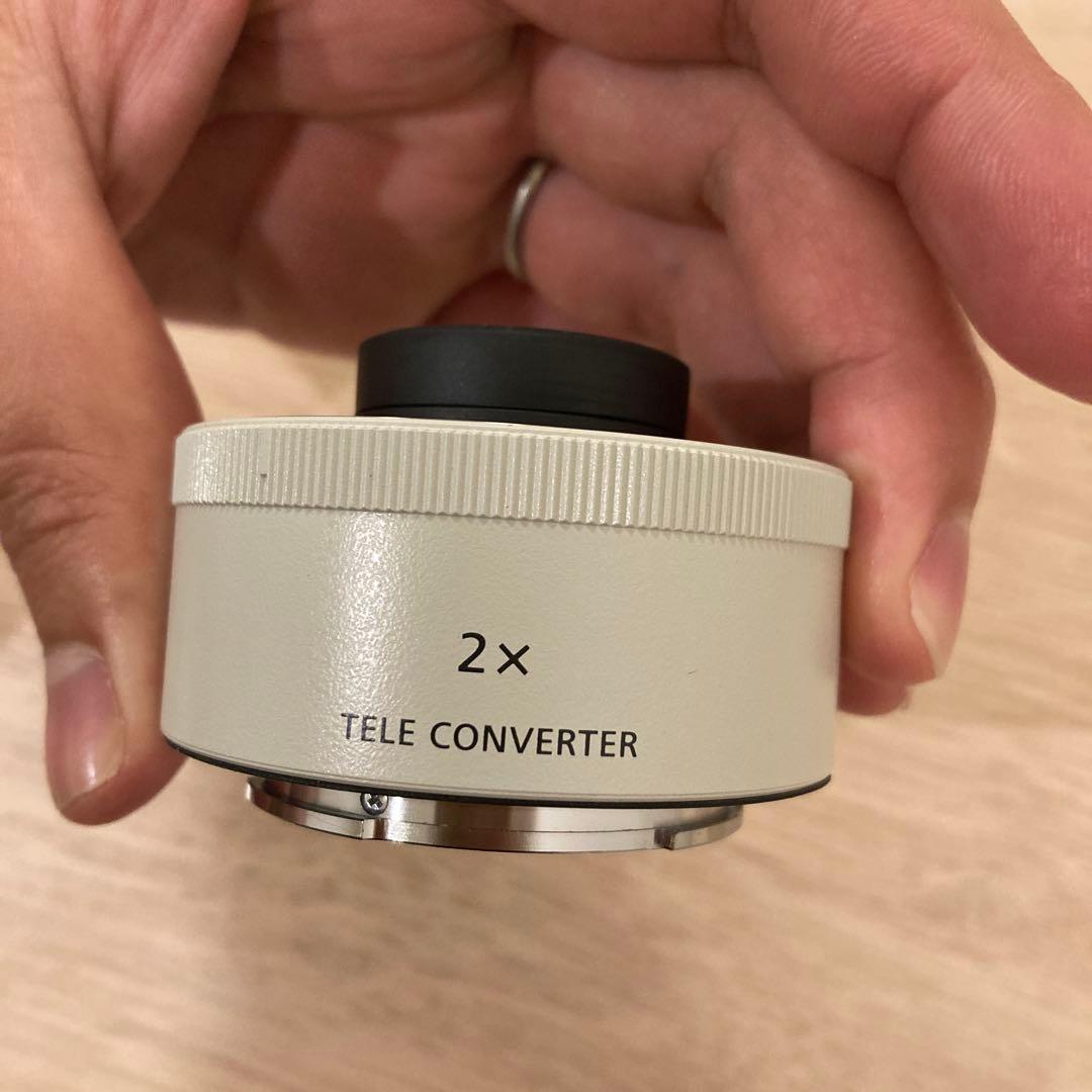 sagit a*　FE 200-600mm 及びテレコン2倍