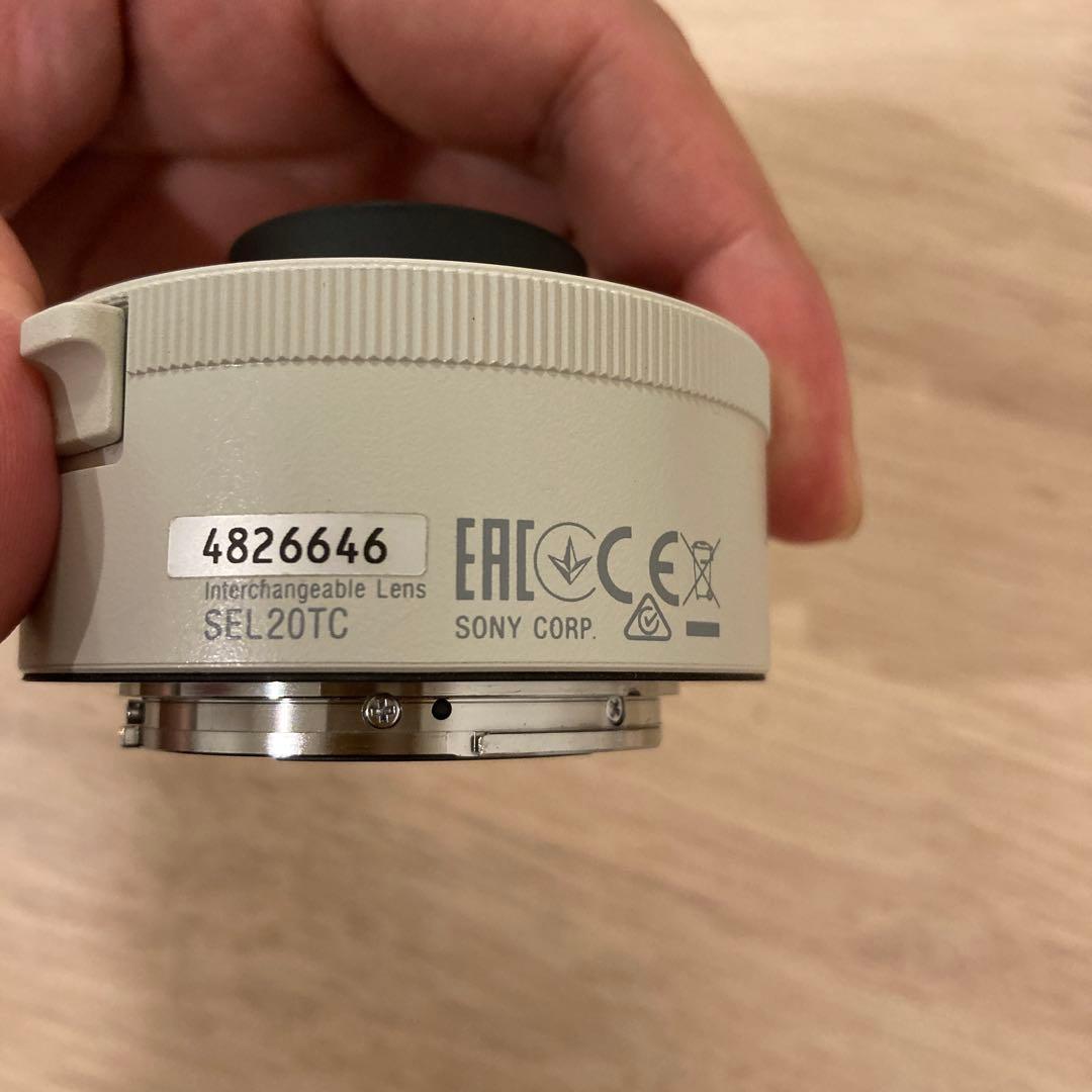 sagit a*　FE 200-600mm 及びテレコン2倍