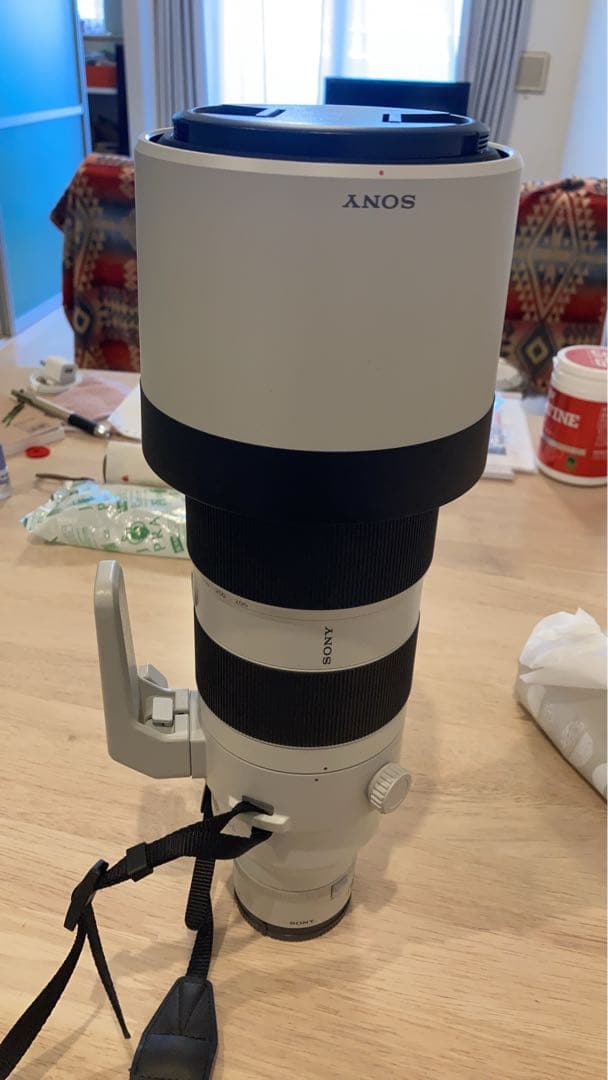 sagit a*　FE 200-600mm 及びテレコン2倍