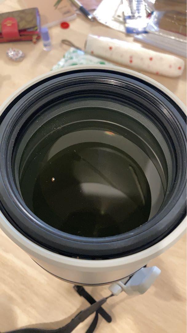 sagit a*　FE 200-600mm 及びテレコン2倍