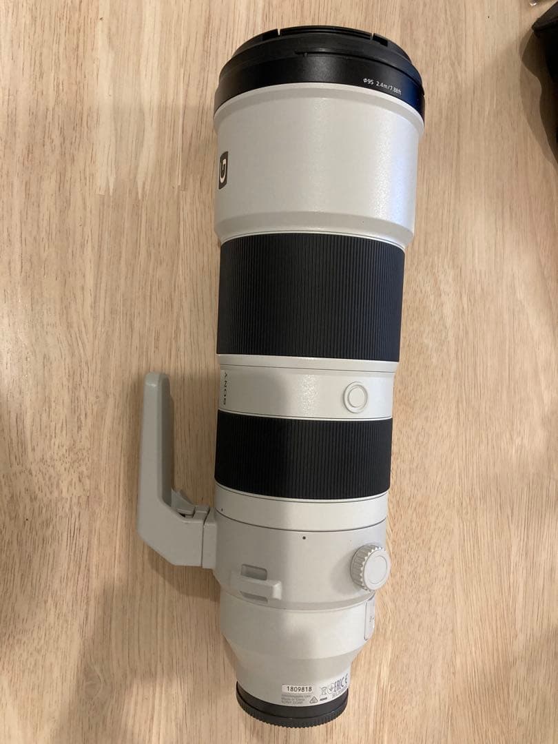 sagit a*　FE 200-600mm 及びテレコン2倍