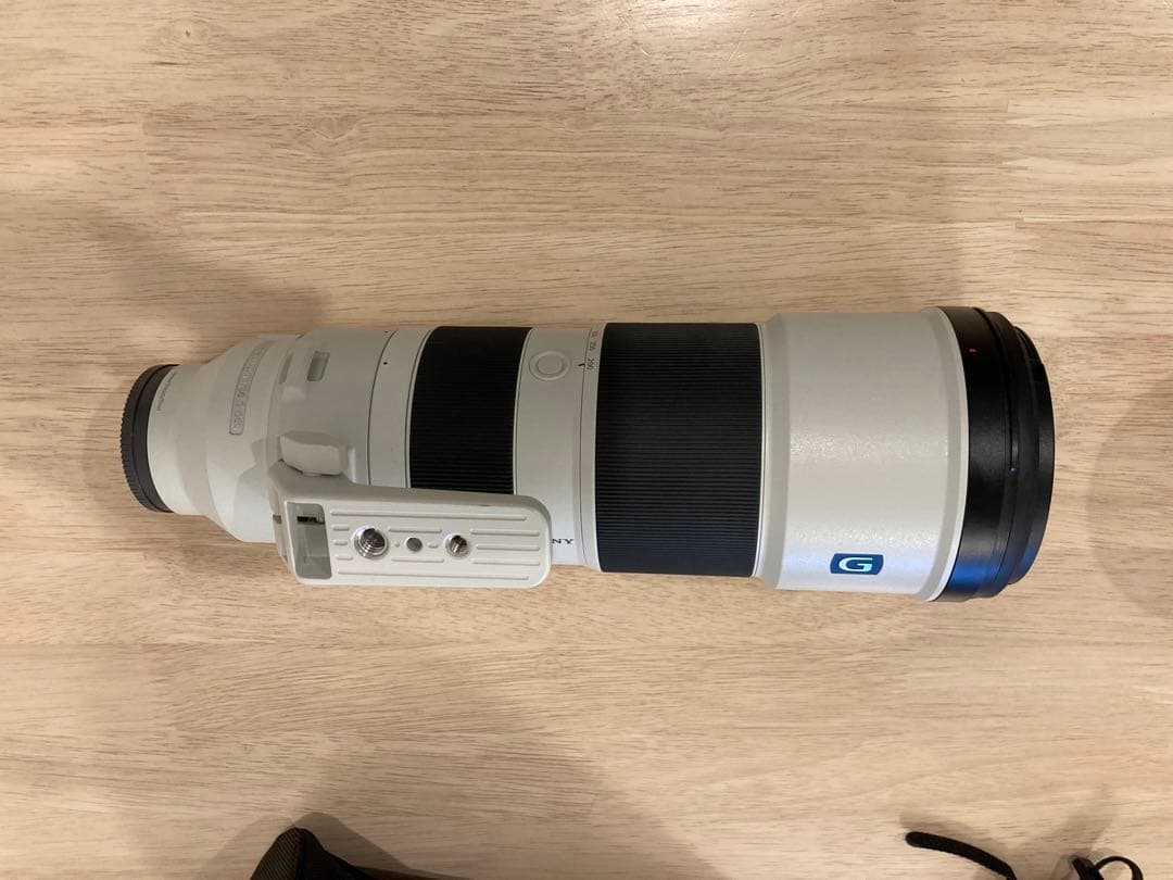 sagit a*　FE 200-600mm 及びテレコン2倍