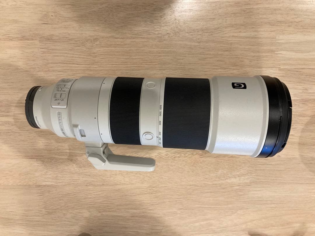 sagit a*　FE 200-600mm 及びテレコン2倍
