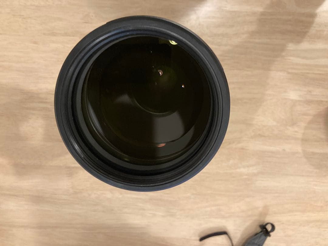 sagit a*　FE 200-600mm 及びテレコン2倍