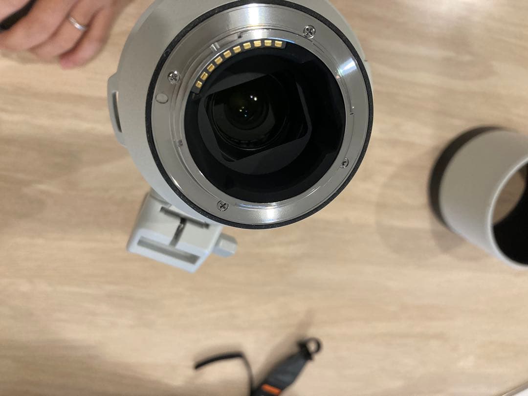 sagit a*　FE 200-600mm 及びテレコン2倍