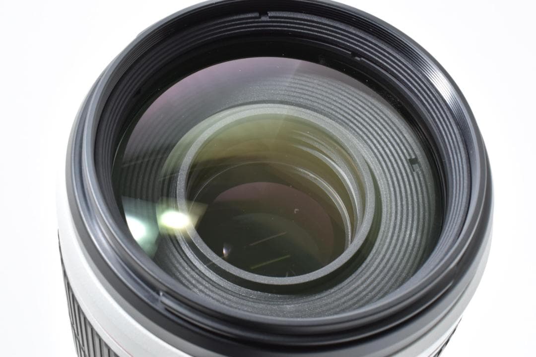 うさぎ様用Canon EF 100-400mm f/4.5-5.6L IS II