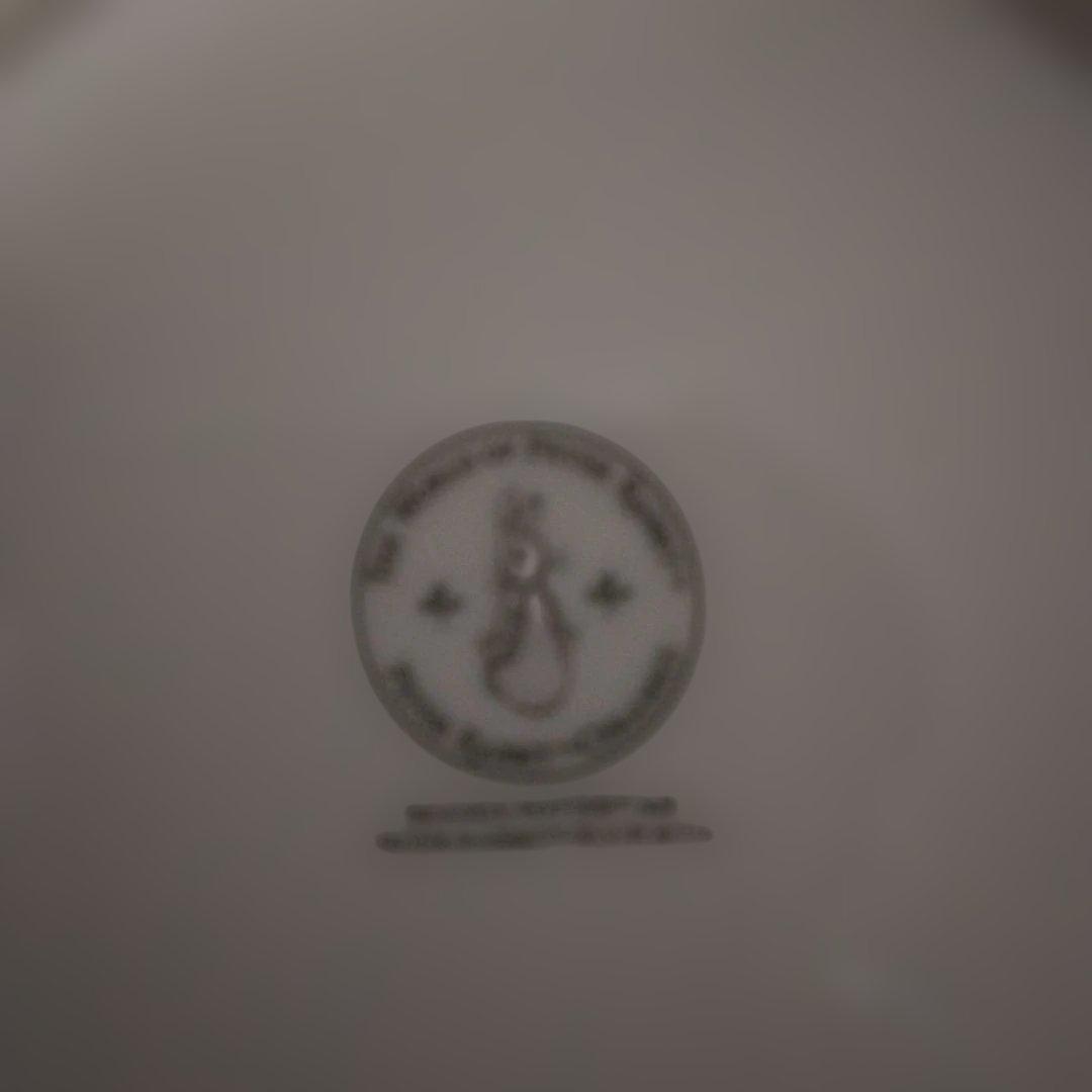 ピーターラビット 陶器製皿 5枚セット