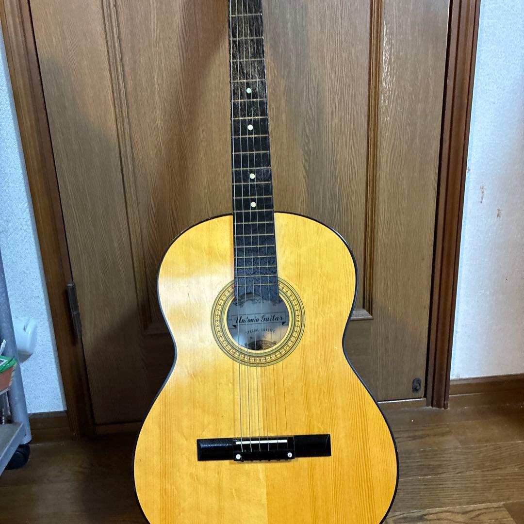 らっき組電子ギターとAntonio Guitarra No. S5ギター