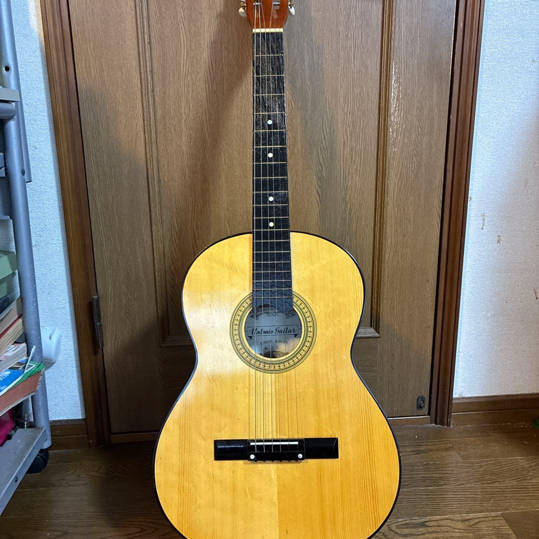 らっき組電子ギターとAntonio Guitarra No. S5ギター