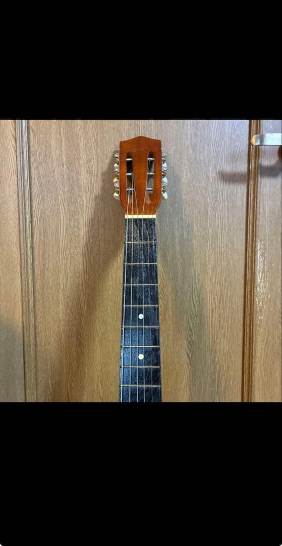 らっき組電子ギターとAntonio Guitarra No. S5ギター