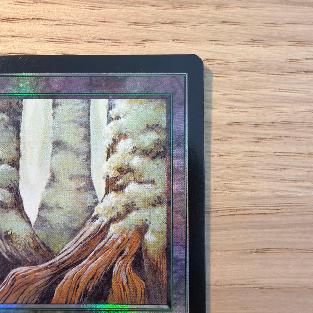 MTG 森/Forest 日本語版 [UDS] 流れ星マーク
